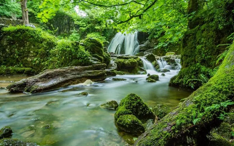 智慧高性能科技